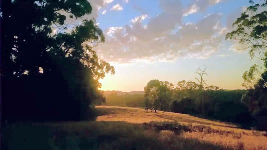 Rolling hills on Mount Burnett (Vic)